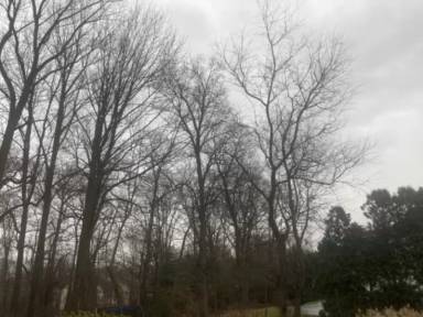 Main picture of 3172 Summit Ln