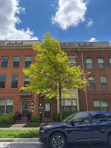 Main picture of 240 Kepler Dr