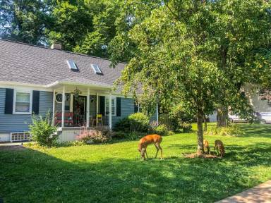 Main picture of 521 Timber Ln
