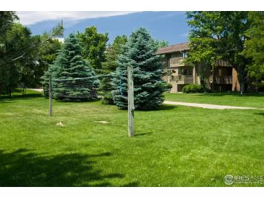 Main picture of Aspen Grove