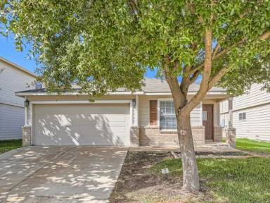 Main picture of 8623 Silver Willow