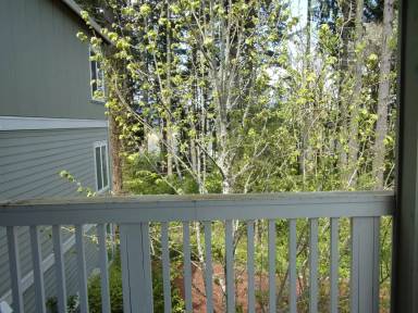 Main picture of West Oaks Condominiums