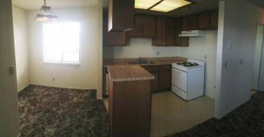 Main picture of 11953 Eucalyptus - 10