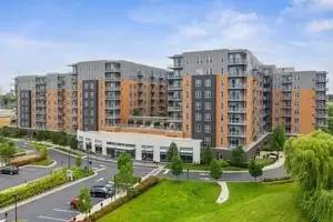 Main picture of TGM Northshore