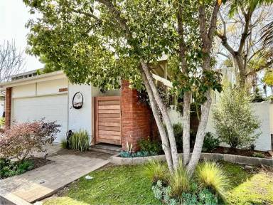 Main picture of 3305 Vivienda Cir