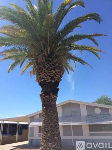 Main picture of 26618 S Maricopa Pl