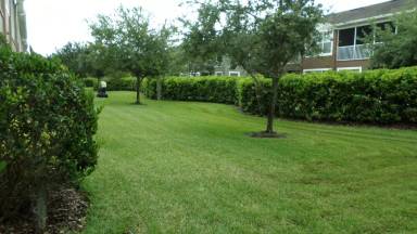 Main picture of 2213 Kings Palace Dr