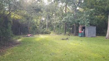 Main picture of 219 Trixie St