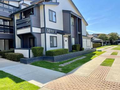 Main picture of 55 Stenner St