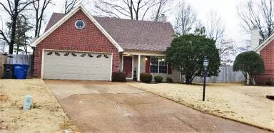 Main picture of 3067 Woodland Fern Cv