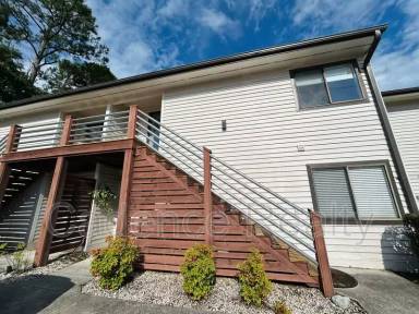 Main picture of 1507 Military Cutoff Rd Apartments