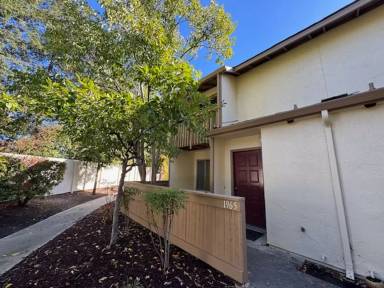 Main picture of 1965 Olmo Way