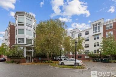 Main picture of 248 Albion St
