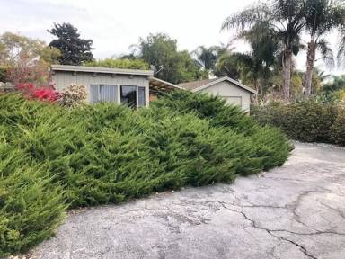 Main picture of 915 Brittany Rd
