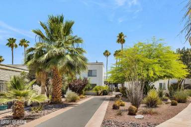 Main picture of Spanish Trail Condominiums