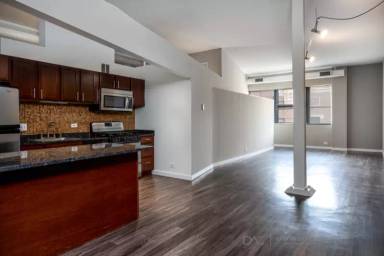 Main picture of 1440 N Wells St