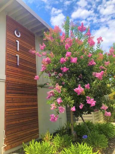 Main picture of 611 San Luisito Way