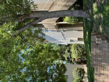 Main picture of 698 Dorothy Way