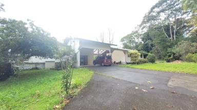 Main picture of 17-232 Palaai St