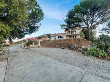 Main picture of 10939 Beeler Canyon Rd