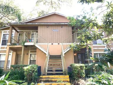 Main picture of 14201 Shadow Moss Ln