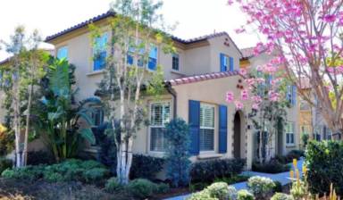 Main picture of 100 Wild Rose