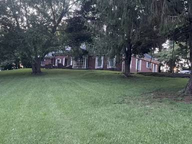 Main picture of 157 Baby St