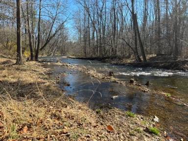 Main picture of 52 Eds Park Dr