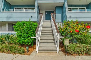 Main picture of 24 Montego Ct