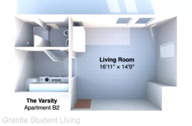 Main picture of Varsity