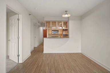 Main picture of 1251 S Michigan Ave
