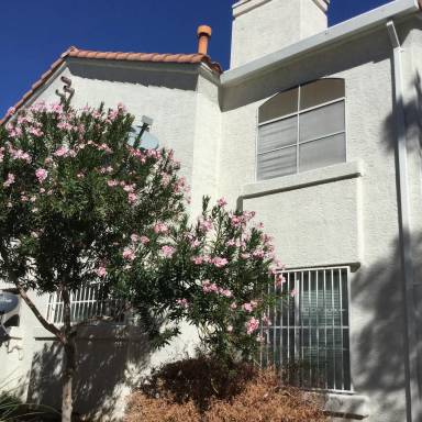 Main picture of 4500 W Lake Mead Blvd