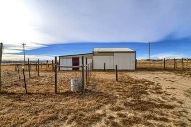 Main picture of 12655 Quince St