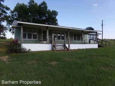 Main picture of 4513 County Road 874