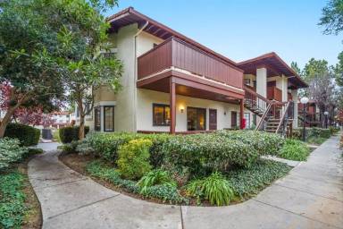 Main picture of 436 Costa Mesa Ter