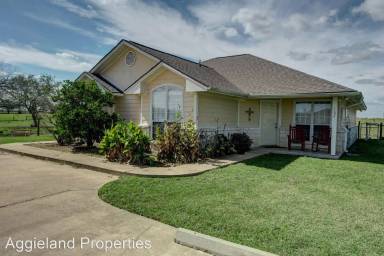 Main picture of Flying Ace Ranch