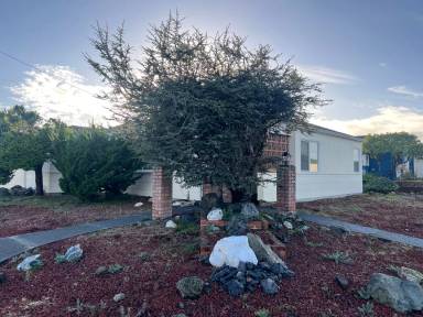 Main picture of 1136 Everding St