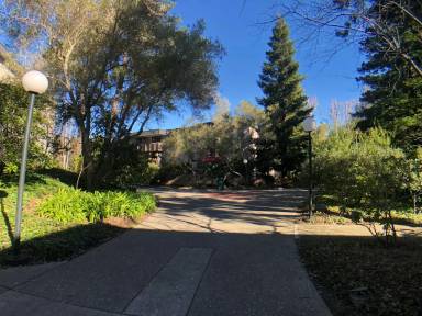 Main picture of Shelter Creek Condominums