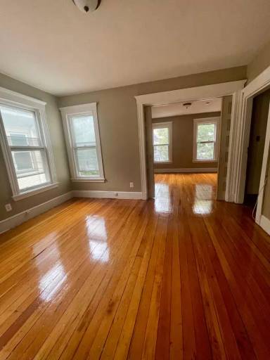 Main picture of 255 Orchard St