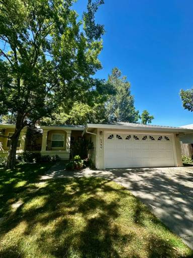 Main picture of 1349 Camphor Ln