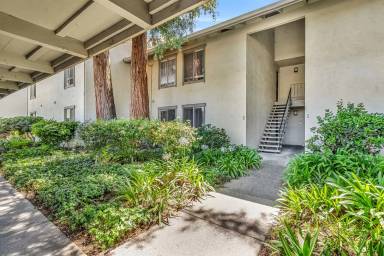 Main picture of 2562 Walnut Blvd