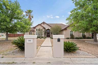 Main picture of 401 Ceniza Ridge Dr