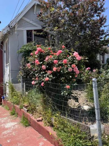 Main picture of 6127 Majestic Ave
