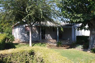 Main picture of 377 Holly St