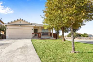 Main picture of 203 Coopers Hawk