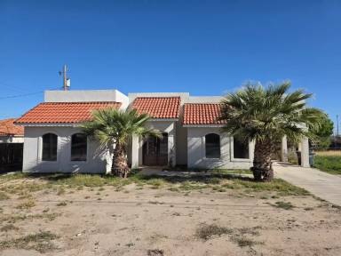 Main picture of 203 W Cantu Rd