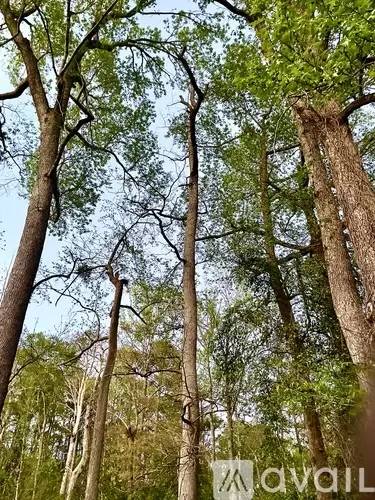 Main picture of 831 Easter St