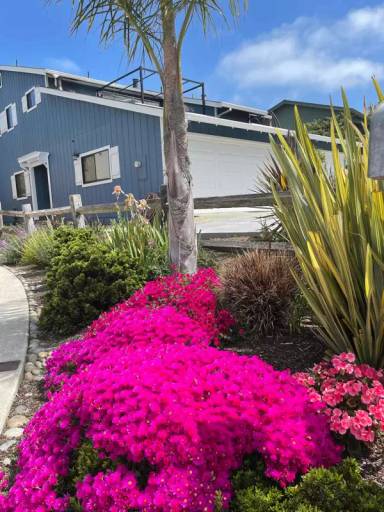 Main picture of 126 Farallon Ct