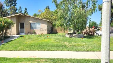 Main picture of 1593 Moreno Dr