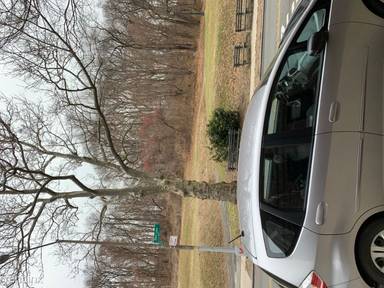 Main picture of 8602 Park Ln S
